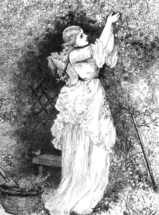 Framed Print : Lady Gardener 1870S Framed Print : Lady Gardener 1870S