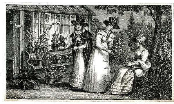 Lady gardeners