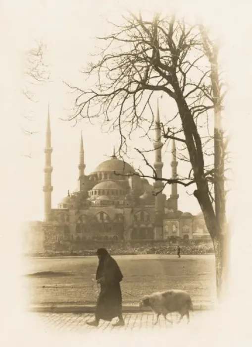 Framed Print : Lady leads her sheep to Market - Constantinople Framed Print : Lady leads her sheep to Market - Constantinople
