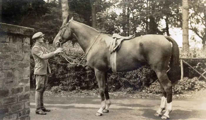 Framed Print : Lady Lindsay's Blue Prince, Kilconquhar, Fife, Scotland, October 1935 Date: 1935 Framed Print : Lady Lindsay's Blue Prince, Kilconquhar, Fife, Scotland, October 1935 Date: 1935