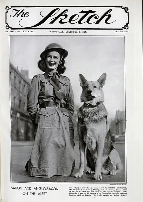 Framed Print : Lady Marguerite Strickland, with Alsation dog, Saxon Framed Print : Lady Marguerite Strickland, with Alsation dog, Saxon