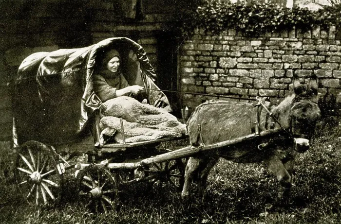 Framed Print : Lady Member of the Caravan Club in donkey tilt cart Framed Print : Lady Member of the Caravan Club in donkey tilt cart