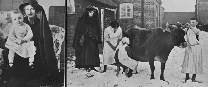 Framed Print : Lady Petres milking school, WW1 Framed Print : Lady Petres milking school, WW1
