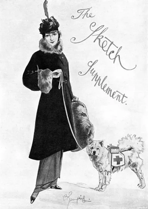 Framed Print : Lady with Red Cross fundraising dog, WW1 Framed Print : Lady with Red Cross fundraising dog, WW1