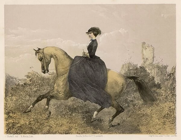 Lady Rider - the Canter