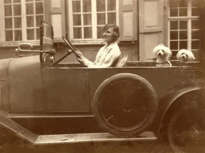Framed Print : Lady takes her two pet dogs for a drive Framed Print : Lady takes her two pet dogs for a drive