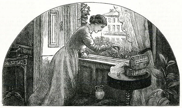 Lady tending her window box 1878