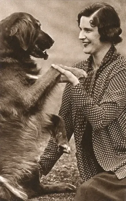 Framed Print : Lady Weymouth with a large dog Framed Print : Lady Weymouth with a large dog