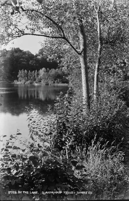 Framed Print : By the Lake Framed Print : By the Lake