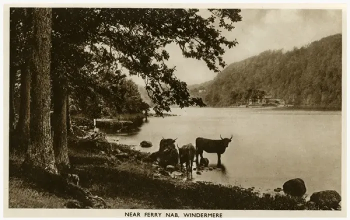 Framed Print : Lake District, Cumbria, Bowness and Windermere Framed Print : Lake District, Cumbria, Bowness and Windermere