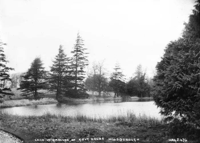 Framed Print : Lake in the Grounds of Govt. House Hillsborough