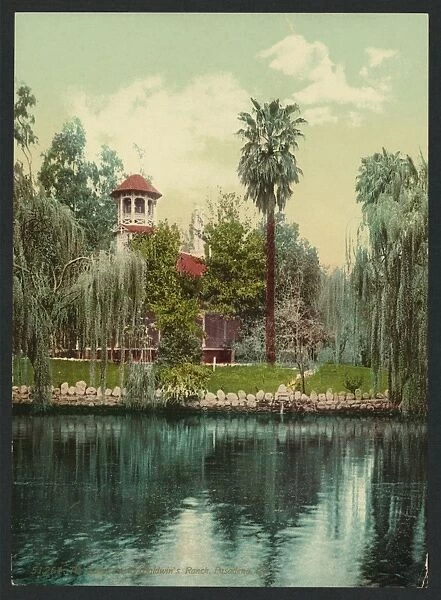The lake, Lucky Baldwins ranch, Pasadena, Cal
