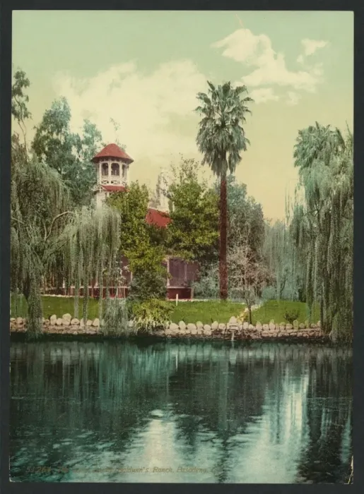 Framed Print : The lake, Lucky Baldwins ranch, Pasadena, Cal Framed Print : The lake, Lucky Baldwins ranch, Pasadena, Cal