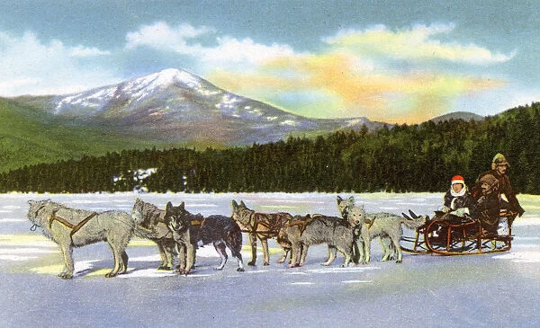 Lake Placid, N. Y. USA - Dog Team on Frozen Mirror Lake