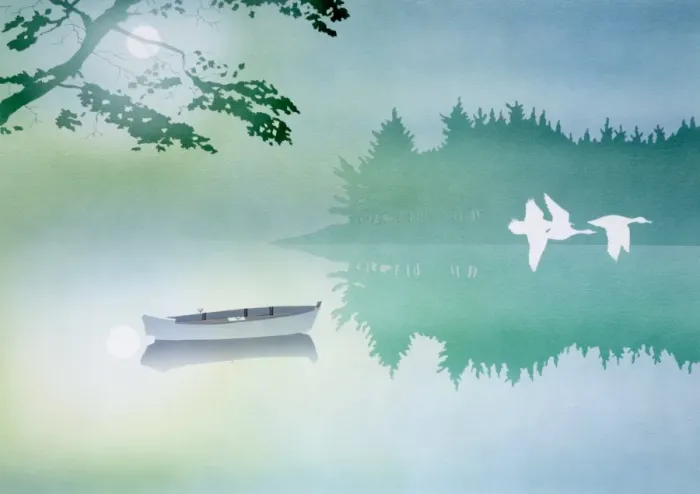 Framed Print : Lake scene with boat and three birds