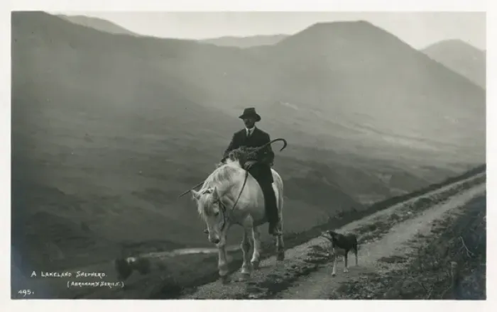 Framed Print : A Lakeland Shepherd on horseback carrying a sick ewe Framed Print : A Lakeland Shepherd on horseback carrying a sick ewe