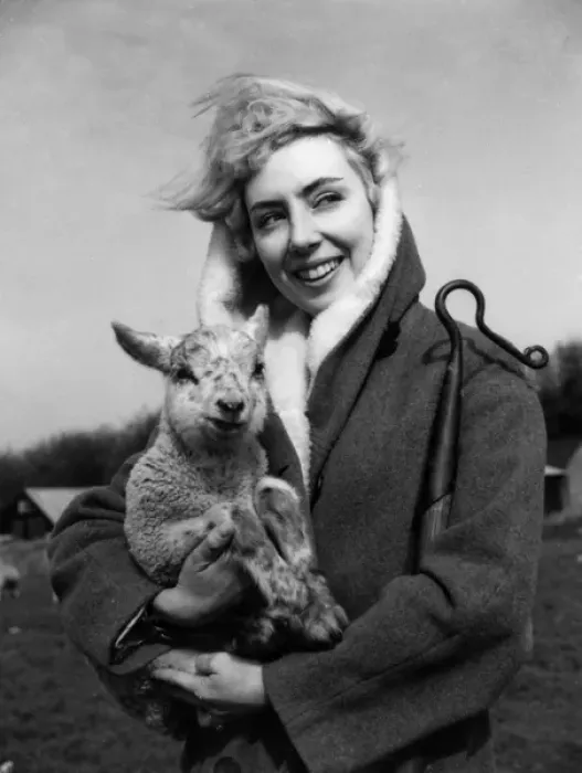 Framed Print : Lamb and Shepherdess Framed Print : Lamb and Shepherdess