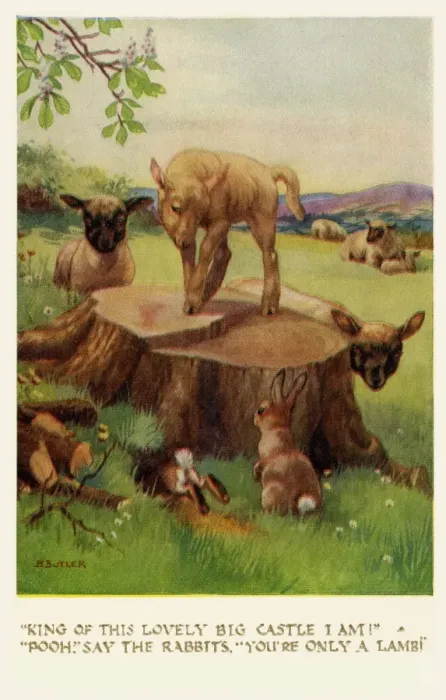 Framed Print : Lambs & rabbits Framed Print : Lambs & rabbits