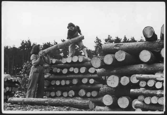 Framed Print : Land Girls with Logs