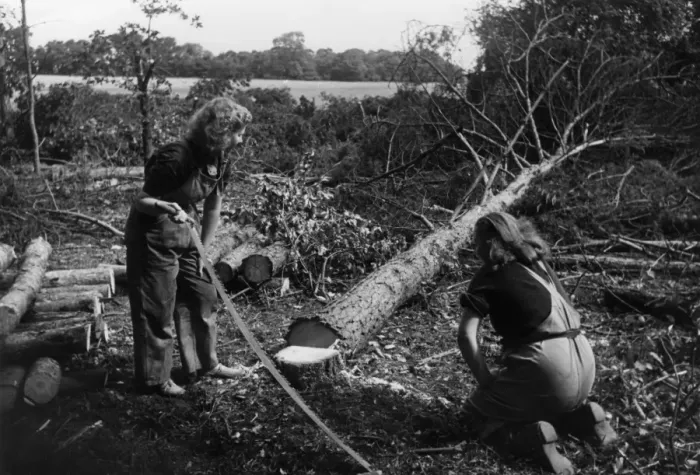 Framed Print : Land Girls with Logs Framed Print : Land Girls with Logs