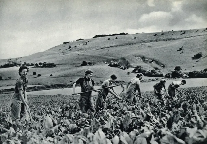 Framed Print : Land girls in training 1939