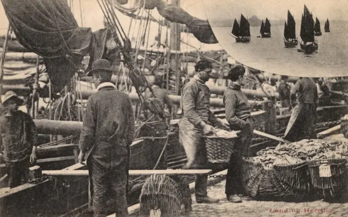 Framed Print : Landing Herring at Minehead, Somerset (and the fleet) Framed Print : Landing Herring at Minehead, Somerset (and the fleet)