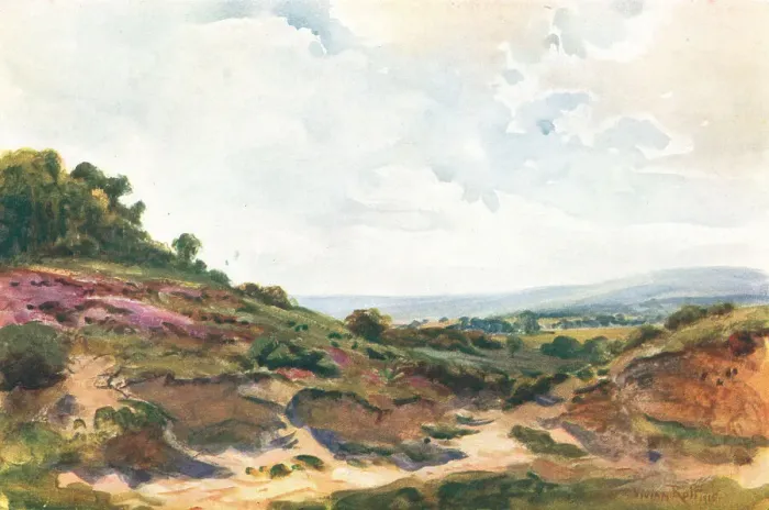 Framed Print : Landscape. A landscape watercolour painting of a dirt path withbanks of grass, wildflowers Framed Print : Landscape. A landscape watercolour painting of a dirt path withbanks of grass, wildflowers