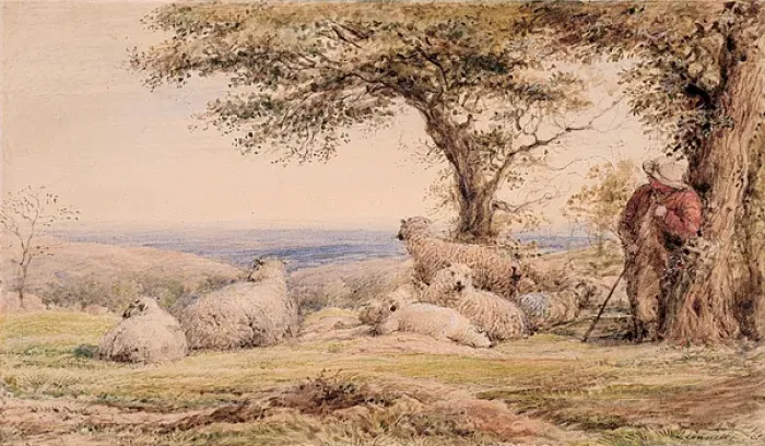 Framed Print : Landscape with Sheep Framed Print : Landscape with Sheep