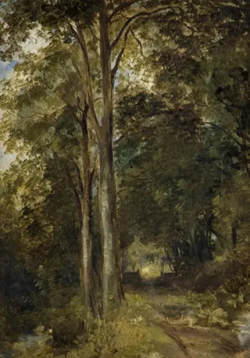 Framed Print : Landscape with Trees Framed Print : Landscape with Trees