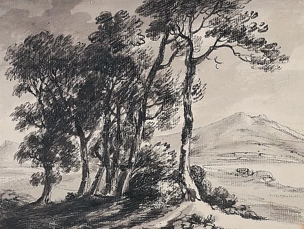 Landscape and Trees