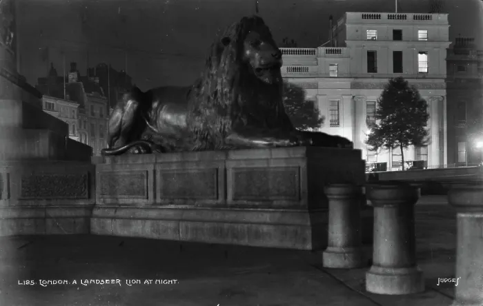 Framed Print : A Landseer Lion at Night Framed Print : A Landseer Lion at Night