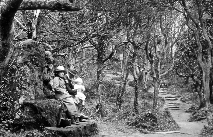 Framed Print : The Landslip, Bonchurch, Isle of Wight, Victorian period Framed Print : The Landslip, Bonchurch, Isle of Wight, Victorian period