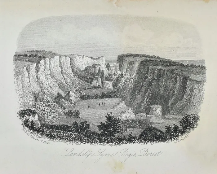 Framed Print : Landslip, Lyme Regis, Dorset