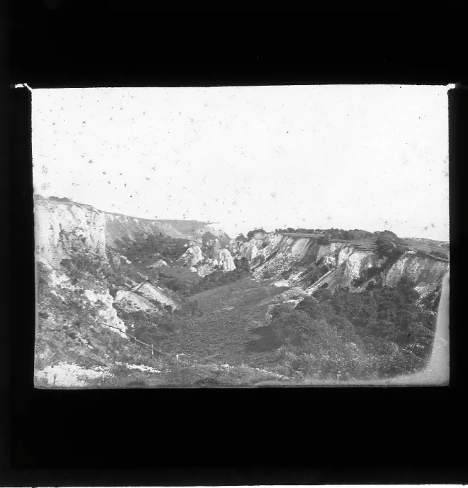 Framed Print : Landslip near Axmouth Framed Print : Landslip near Axmouth