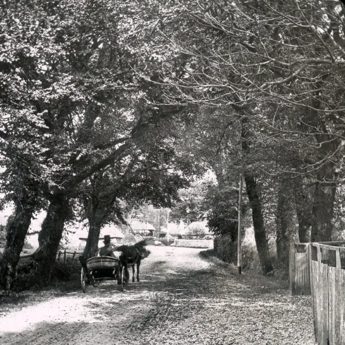 Framed Print : The Lane, South Hayling, Hampshire, England Framed Print : The Lane, South Hayling, Hampshire, England