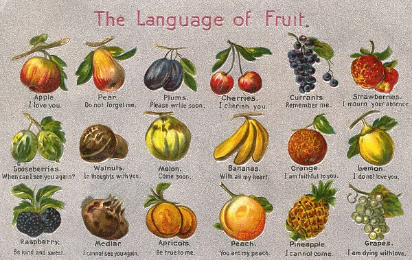 The Language of Fruit