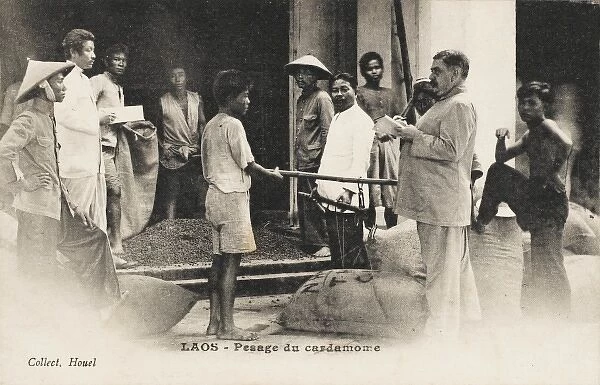 Laos - Sacks of cardamom being weighed