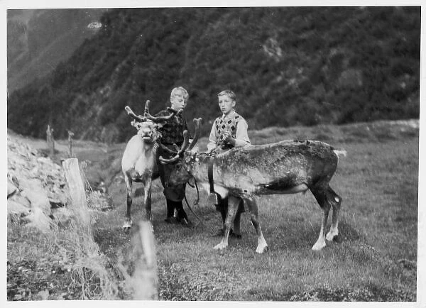 Lapland Boys & Reindeer