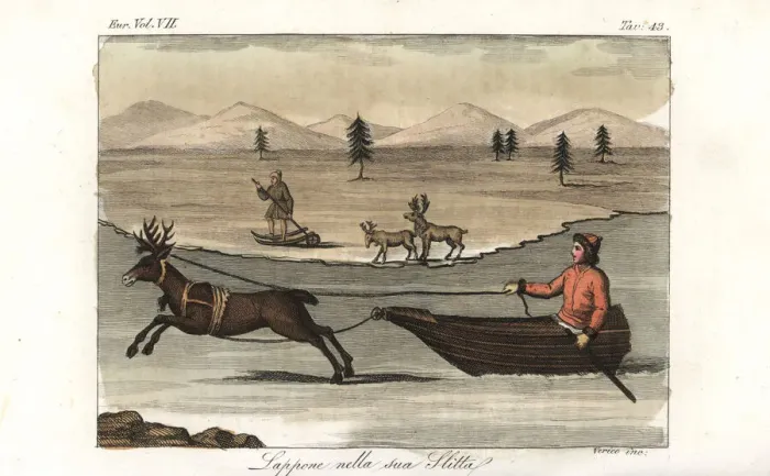 Framed Print : Lapp in a sleigh pulled by a reindeer Framed Print : Lapp in a sleigh pulled by a reindeer