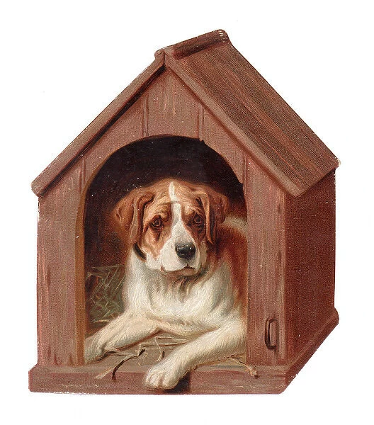 Large dog in its kennel on a Christmas card
