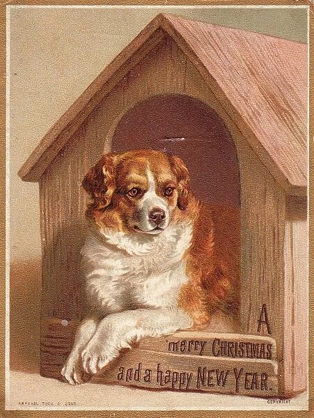 Large dog in its kennel on a Christmas and New Year card
