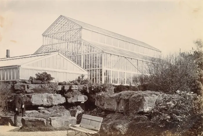 Framed Print : Large glass conservatory in a garden, somewhere in Cheshire, with a man posing in the left foreground Date: circa 1889 Framed Print : Large glass conservatory in a garden, somewhere in Cheshire, with a man posing in the left foreground Date: circa 1889