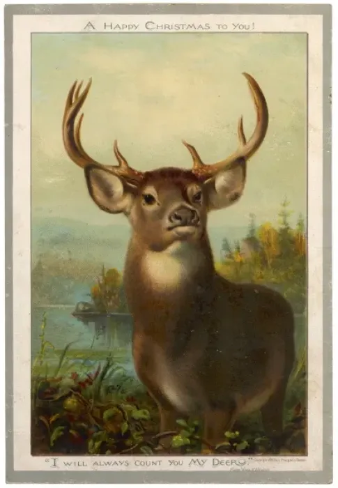 Framed Print : LARGE STAG Framed Print : LARGE STAG