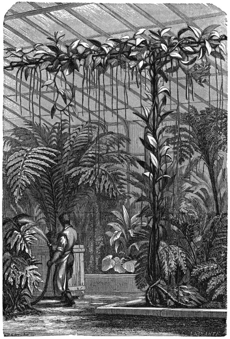 Framed Print : A large Stove Conservatory Framed Print : A large Stove Conservatory