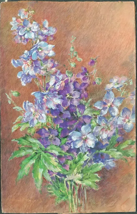 Framed Print : Larkspurs'? Flowers Framed Print : Larkspurs'? Flowers