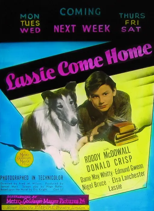 Framed Print : Lassie Come Home cinema projection slide 1943 Framed Print : Lassie Come Home cinema projection slide 1943
