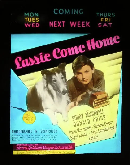 Framed Print : Lassie Come Home Roddy McDowall - cinema ad Framed Print : Lassie Come Home Roddy McDowall - cinema ad