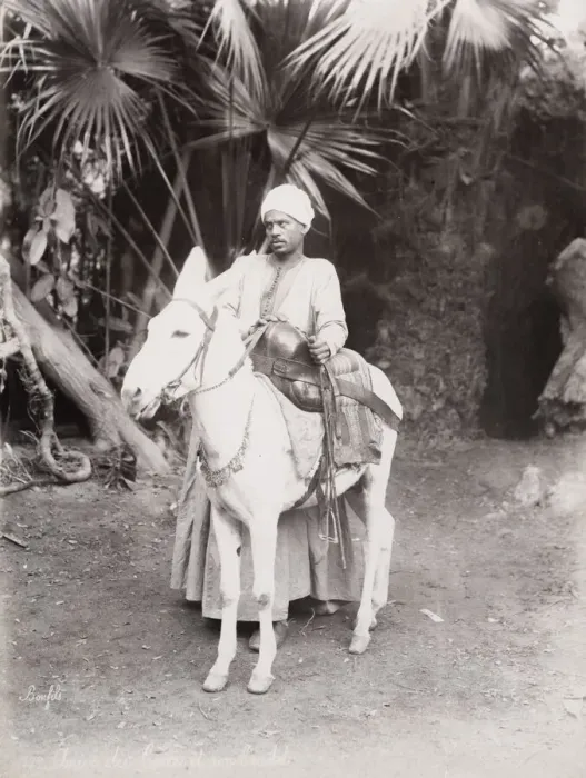 Framed Print : Late 19th century photograph: Egyptian man and his donkey, Egypt Framed Print : Late 19th century photograph: Egyptian man and his donkey, Egypt
