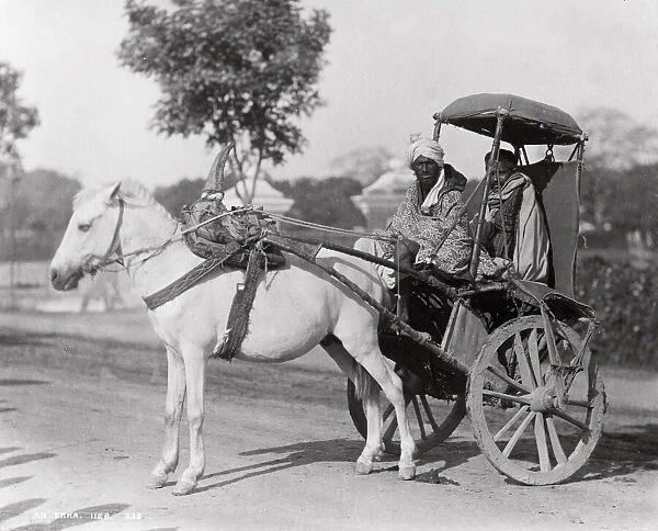 Late 19th century photograph: Ekka, single horse carriage, hackney, India