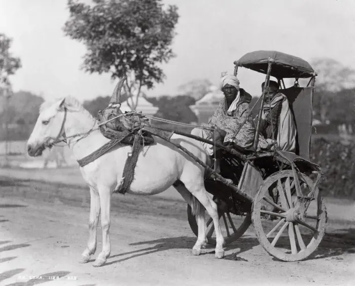 Framed Print : Late 19th century photograph: Ekka, single horse carriage, hackney, India Framed Print : Late 19th century photograph: Ekka, single horse carriage, hackney, India